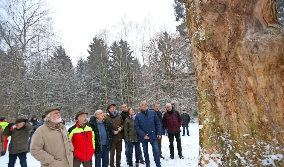 Besuch Umweltminister Januar 2019 - Fortsetzung der Gespräche am Naturdenkmal Dicke Eiche bei schönstem Winterwetter-